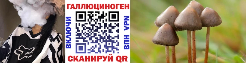Псилоцибиновые грибы Magic Shrooms  Купить где  Бугульма 
